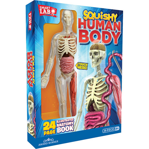 Squishy Human Body