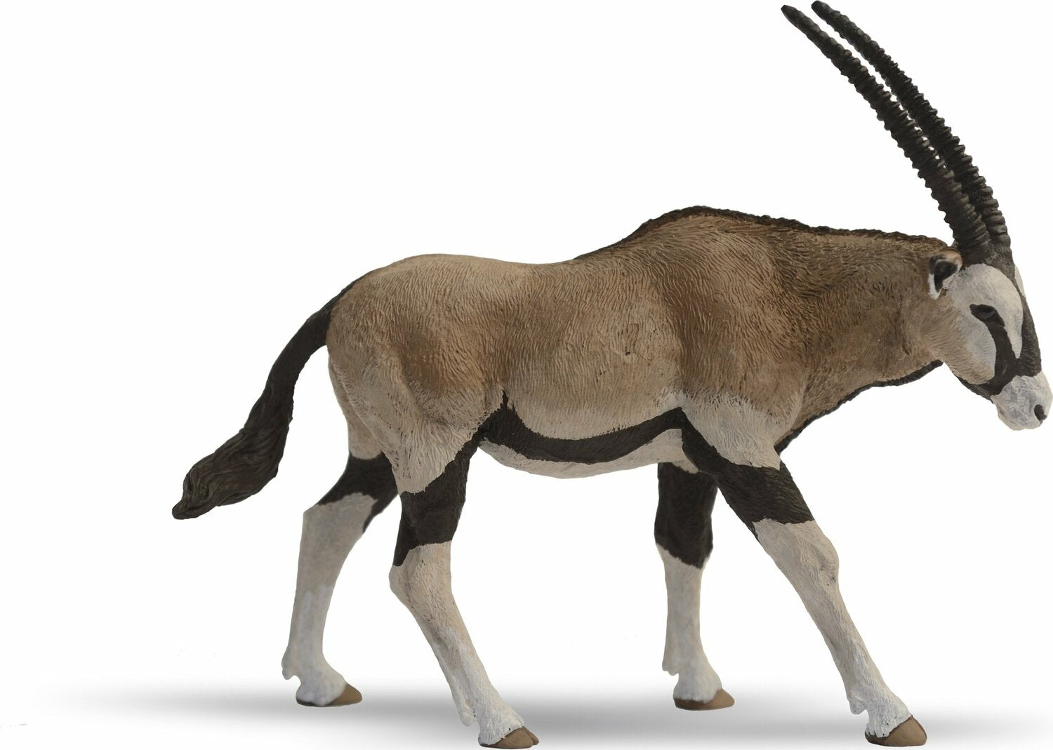 Oryx Antelope