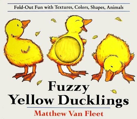 Fuzzy Yellow Ducklings