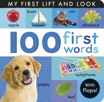 100 First Words: My First Lift and Look (with Flaps)