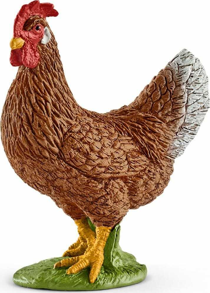 Hen