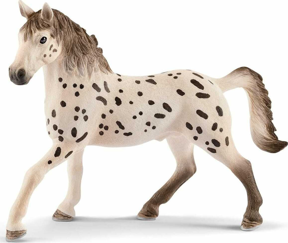 Knapstrupper Stallion