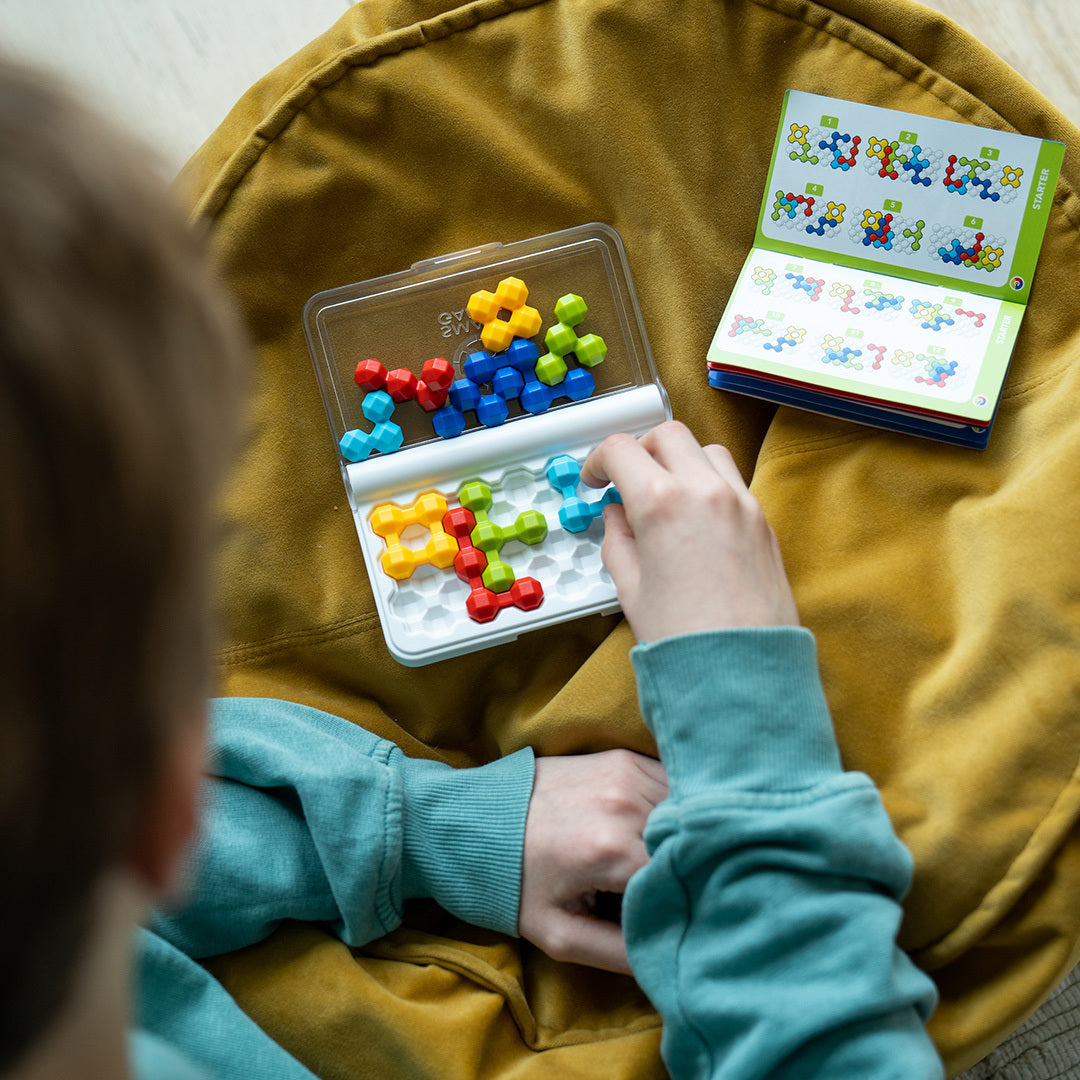 IQ Twins The Toy Maven