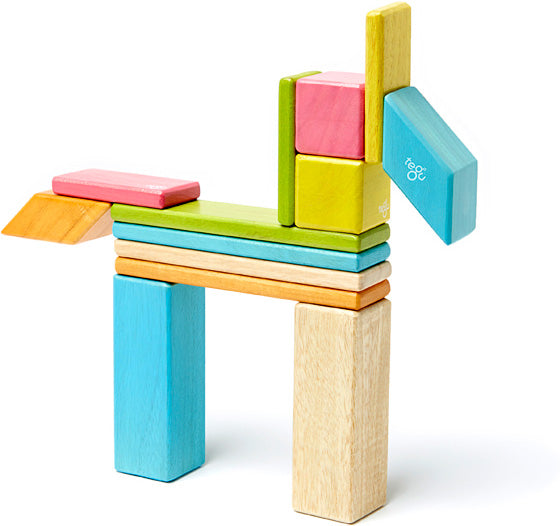 Tegu best sale blocks discount