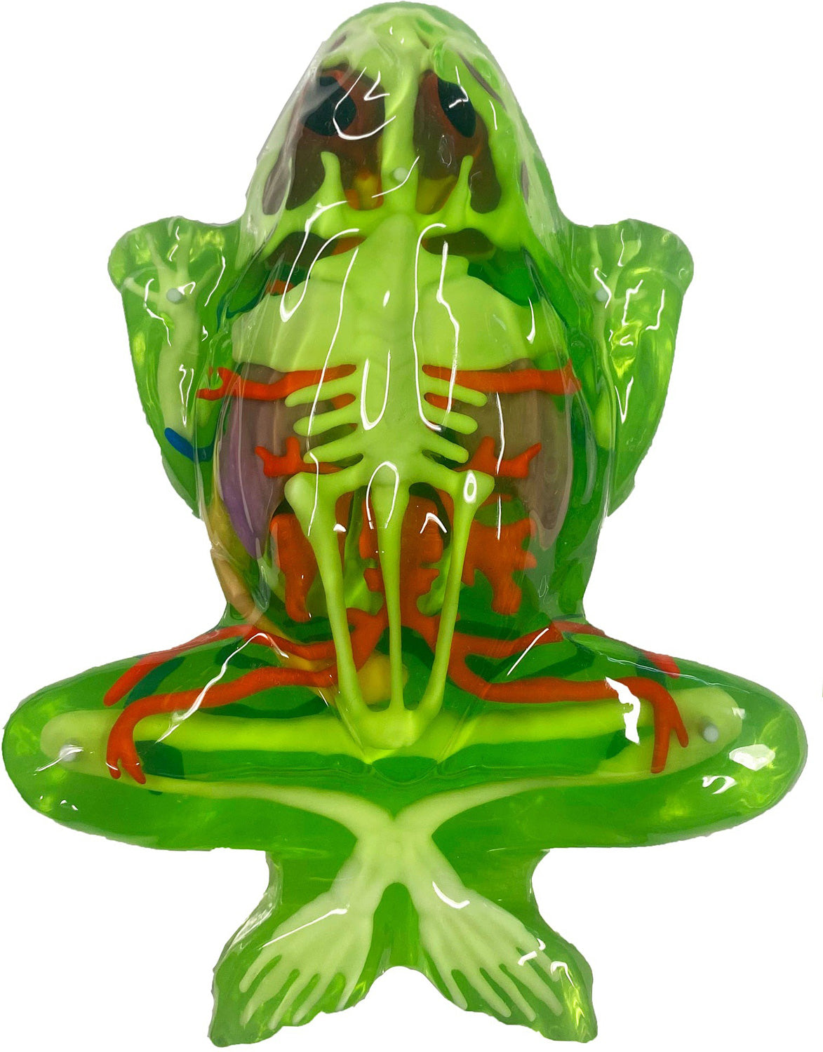 Dissect-It - Frog Super Lab – The Toy Maven